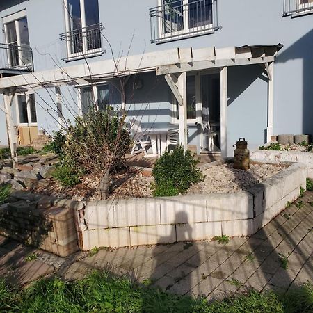 Grosse 3 Zi Wohnung Auf Der Pferde Farm Lahr/Schwarzwald Kültér fotó