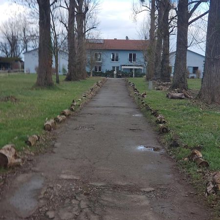 Grosse 3 Zi Wohnung Auf Der Pferde Farm Lahr/Schwarzwald Kültér fotó