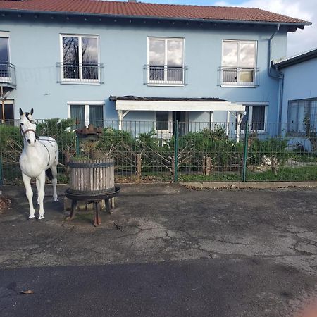 Grosse 3 Zi Wohnung Auf Der Pferde Farm Lahr/Schwarzwald Kültér fotó
